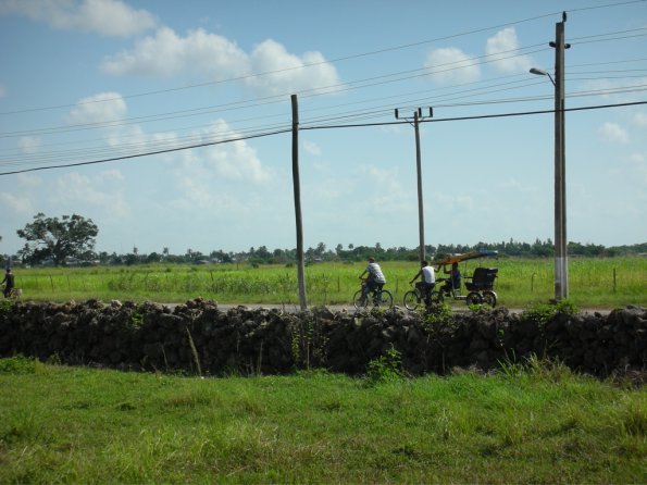 DSCN1087