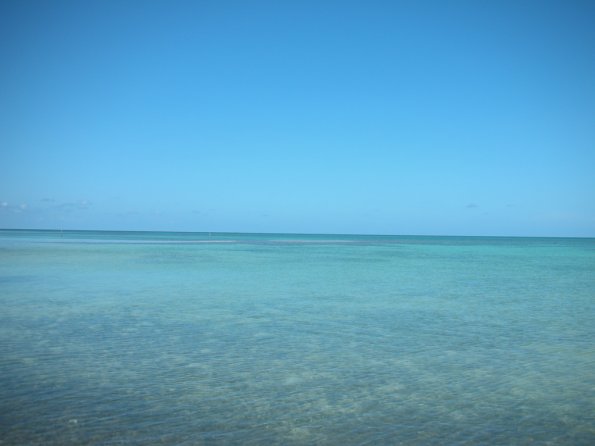 DSCN1142