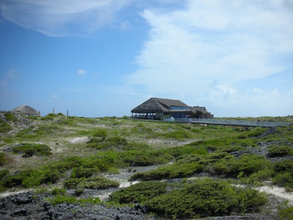 DSCN1509