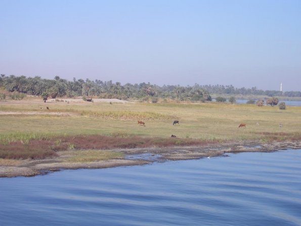 img079