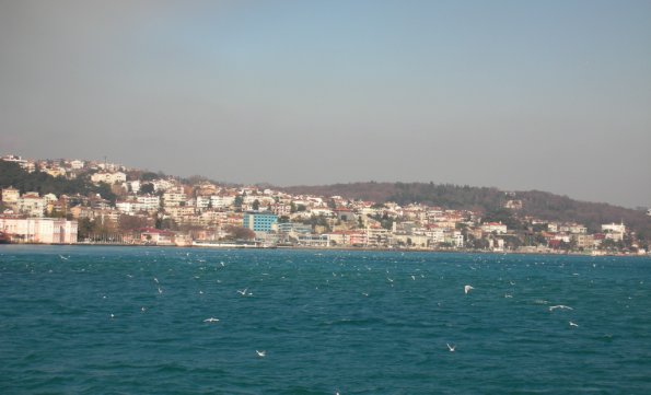 DSCN0455