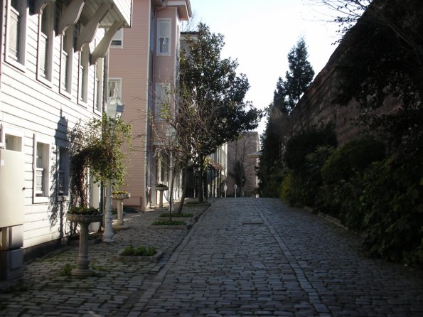 DSCN0546