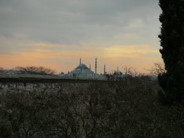 FSCN0393