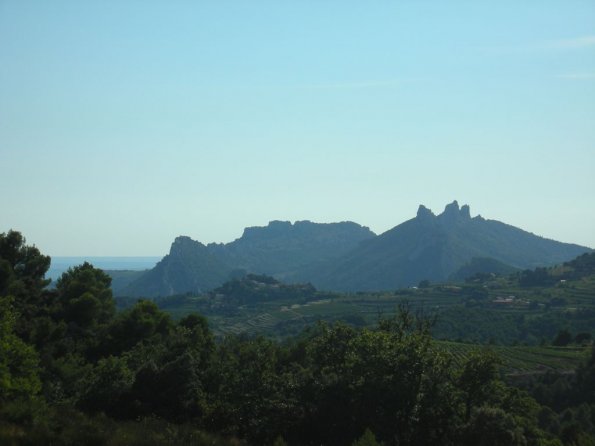 DSCN3388