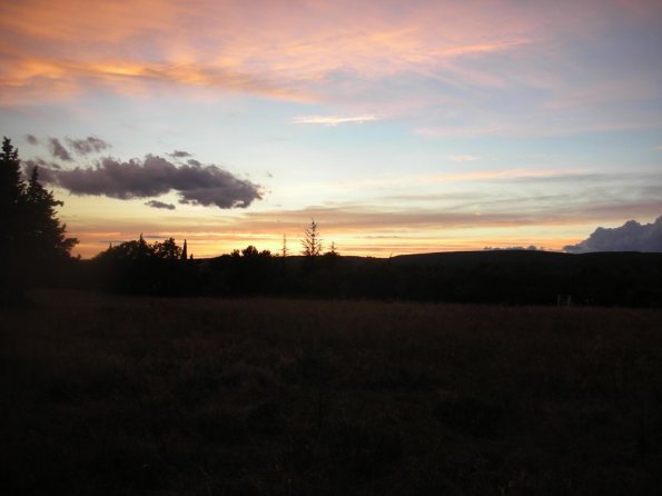 DSCN3564