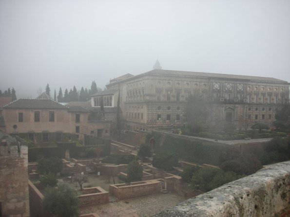 DSCN2541